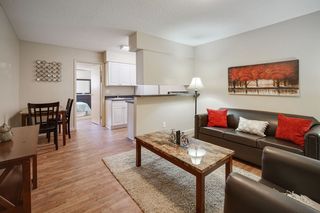 5111 N  Mesa St #B204, El Paso, TX 79912