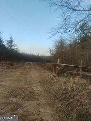 7210 S  Sparta Davisboro Rd, Warthen, GA 31094