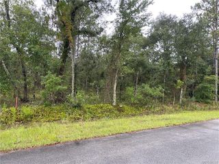 Lot 17 NW Mallard Ave #17, Dunnellon, FL 34431
