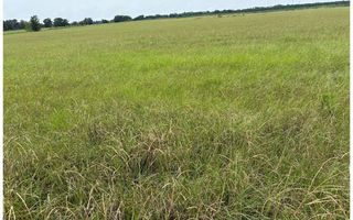 SE Maltese Rd, Mayo, FL 32066