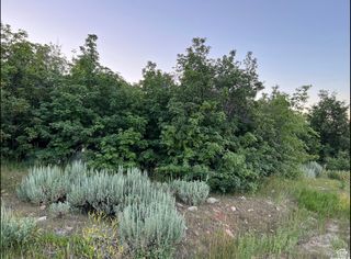 58 Juniper Dr, Fish Haven, ID 83287