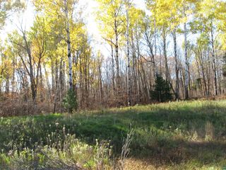 27 Xxx State Hwy, McGregor, MN 55760