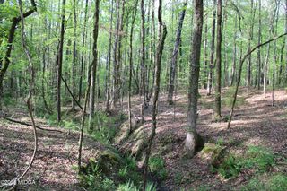 1 Ruffner Rd, Barnesville, GA 30204