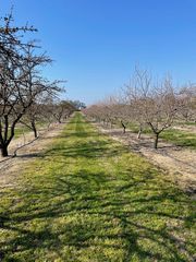 9185 Bell Dr, Atwater, CA 95301
