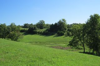 636 Ceder Rd #490, Owingsville, KY 40360