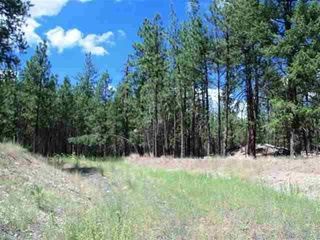 Rutter Pkwy, Spokane, WA 99208
