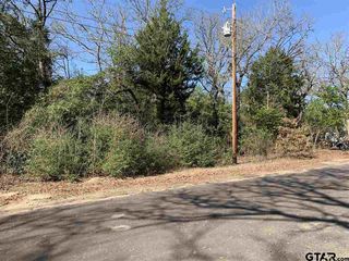 215 Holly Ln, Murchison, TX 75778