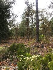 LOTS 33&34 MONROE Street, Interlachen, FL 32148
