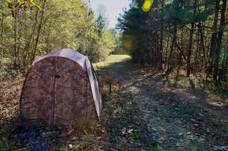 Old Baltimore Rd, Cordova, AL 35550