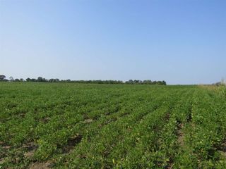 Third Union Rd, Prairie, MS 39756
