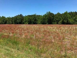 5550 Little Prong Rd NW, Ash, NC 28420