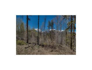 194 Angler Mountain Ranch Road, Silverthorne, CO 80498