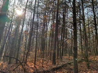 360 Bootleg Bnd #2182, Guild, TN 37340