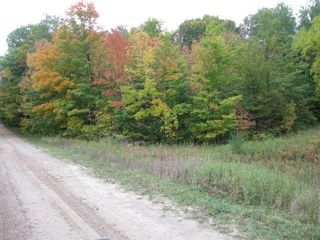 Crawford Rd, Central Lake, MI 49622