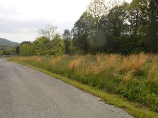 Wild Turkey Ln, Maynardville, TN 37807