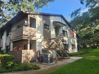 603 Baldwin Ave #B, Safety Harbor, FL 34695