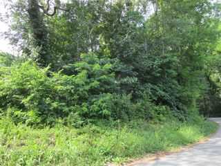Cabbage Rd, Blaine, TN 37709