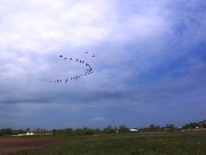 Buyarski Rd, Green Bay, WI 54311
