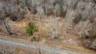 Saint Paul Church Rd, Huntingdon, TN 38344