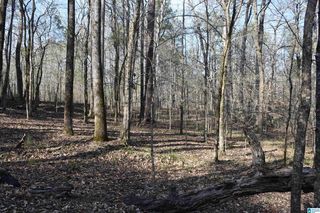Coosa County Road 70 #0, Sylacauga, AL 35151