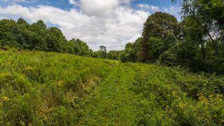 Football Ln, Laurel Fork, VA 24352