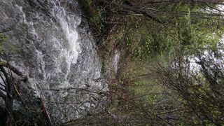 Nhn Blacktail Rd, Lakeside, MT 59922