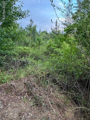 0 Duke Road, Castalia, NC 27816