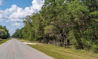 0 NE Hwy 353, Old Town, FL 32680