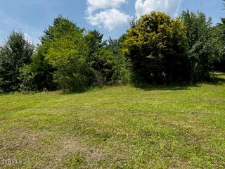 1146 Weaver Branch Rd, Bluff City, TN 37618