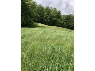 Browns Branch Rd, Hampton, TN 37658