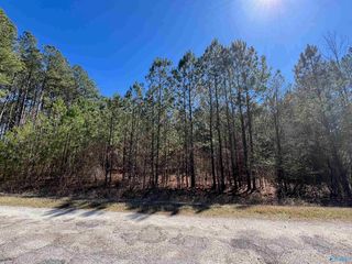 729/ACRE S  County Road 586, Heflin, AL 36264