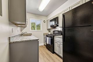 4505 31st St S, Arlington, VA 22206