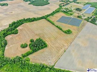 000 Timmonsville Highway, Darlington, SC 29532