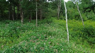 365 Cushing Road, Cushing, ME 04563