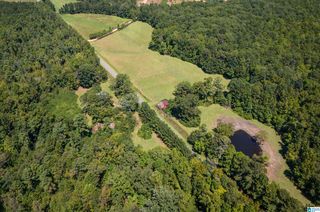 County Road 59 #0, Roanoke, AL 36274