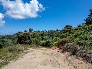 Address Not Disclosed, Humacao, PR 00791