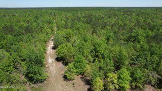 Quail Roost Dr, Alford, FL 32420