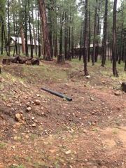 24 Merzville Dr, Forest Lakes, AZ 85931