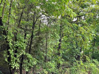 Highway 63 N, Mammoth Spring, AR 72554