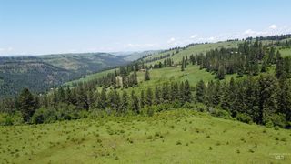 Sears Creek Rd, Grangeville, ID 83530