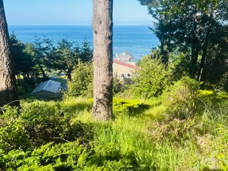 110 Albatross Rd, Whitethorn, CA 95589
