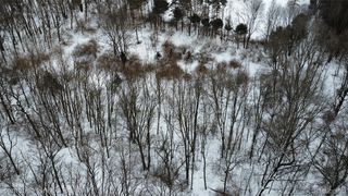 4297 Dinser Ln, Whitmore Lake, MI 48189