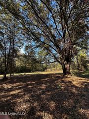 Ellis Hamilton Rd, Moss Pt, MS 39562