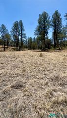 7 Surcingle Ave, Timberon, NM 88350