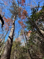 3 Oriole Rd #4, Brevard, NC 28712