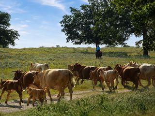 4504 State Highway 304, Rosanky, TX 78953