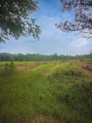 250 County Road 132, Vina, AL 35593