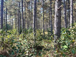 Adams Ave, Nekoosa, WI 54457