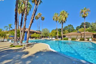 320 N  Civic Dr #307, Walnut Creek, CA 94596
