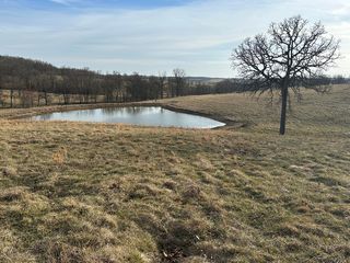 000 Boulder Road, Mountain Grove, MO 65711